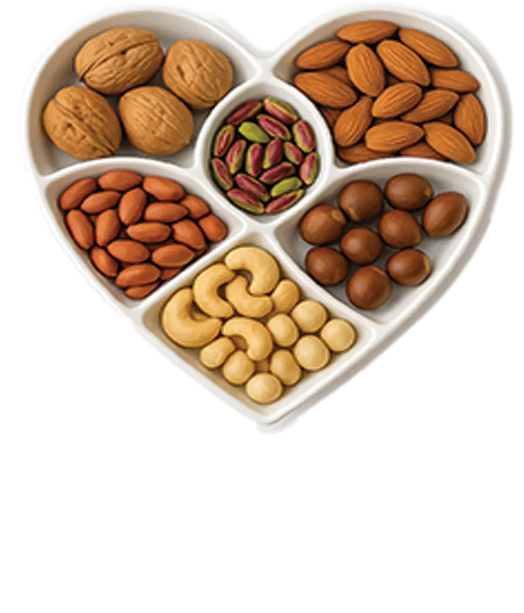 سئو وب سایت خشکبار